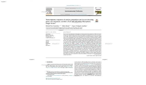 Transcriptomic responses of catalase, peroxidase and laccase encoding genes and enzymatic activities of oil spill inhabiting rhizospheric fungal strains*